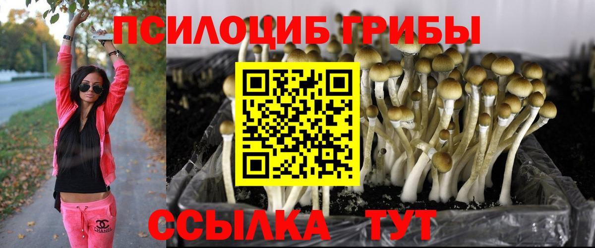 Псилоцибиновые грибы ЛСД  Вход с VPN  Псилоцибиновые грибы MAGIC MUSHROOMS  Городец 