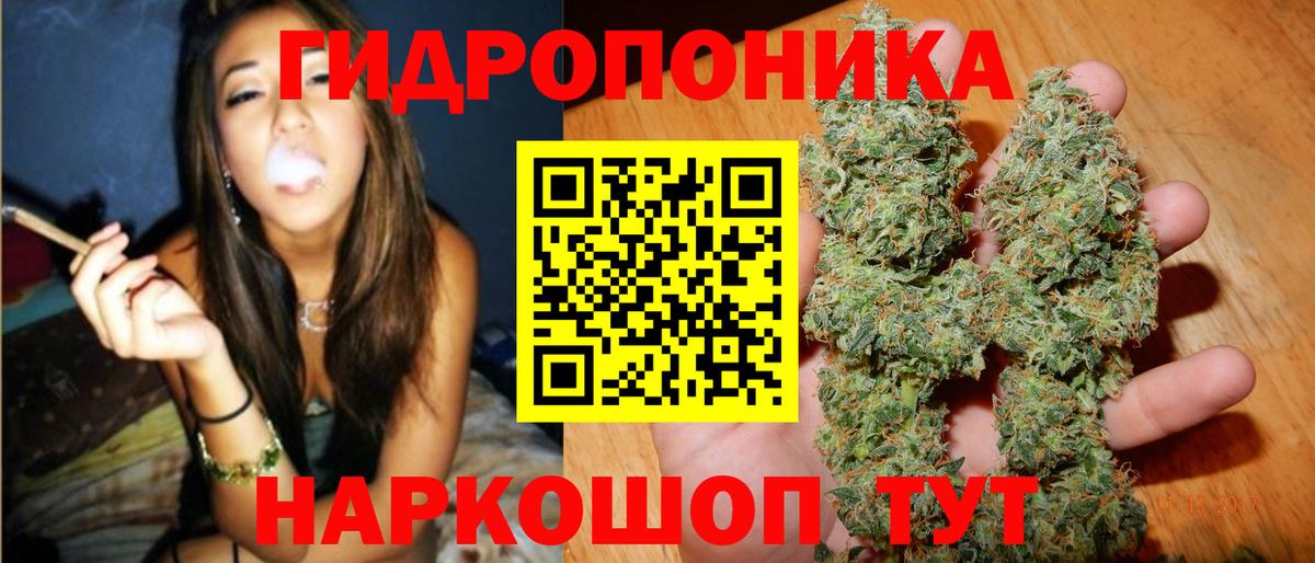 Городец  Шишки марихуана гибрид  Вход с VPN  Бошки Шишки AK-47 
